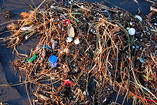 http://www.stpub.com/canadian-environmental-law-guide-online