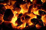 http://www.stpub.com/us-federal-mandatory-greenhouse-gas-emissions-reporting-audit-protocol-online
