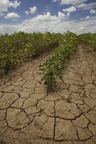 http://www.stpub.com/publications-environmental-environmental-compliance-in-california-a-simplified-guide-online