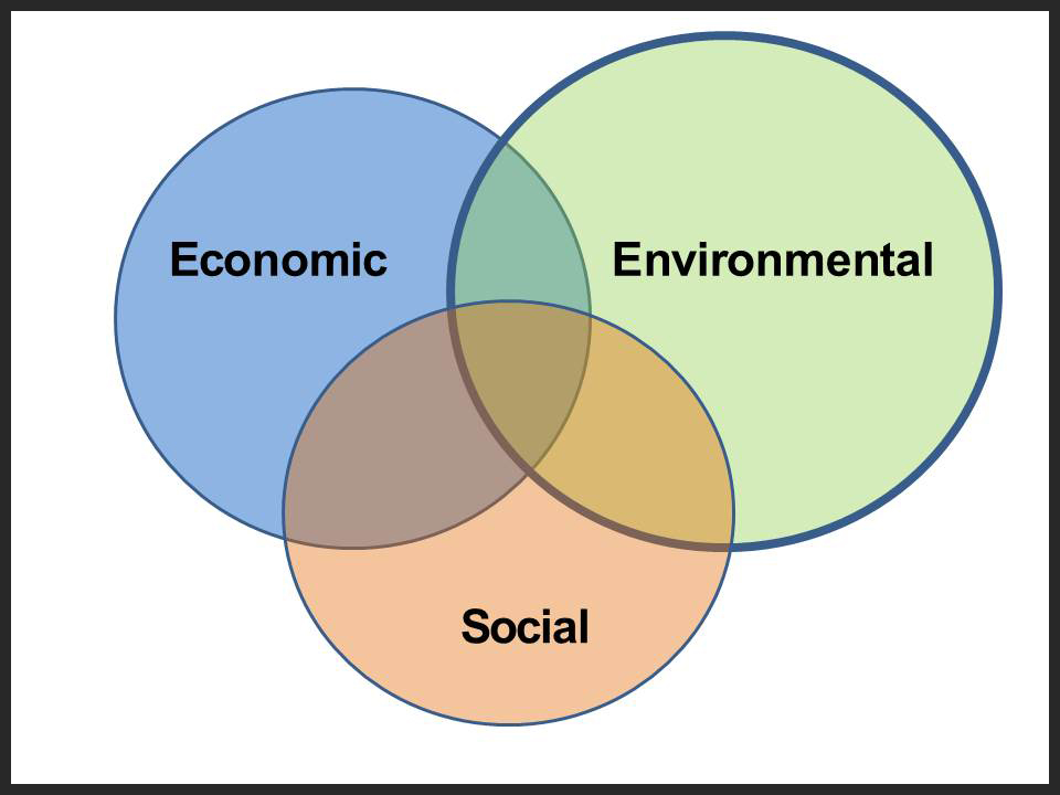 new iso 14001 standard