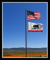 California flag