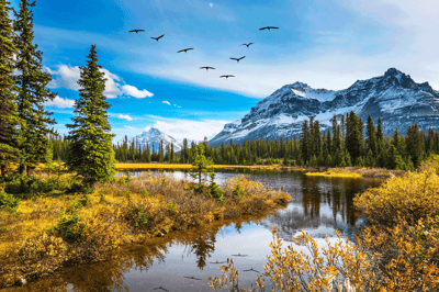 Canada-Apr-12-2022-05-51-04-31-PM