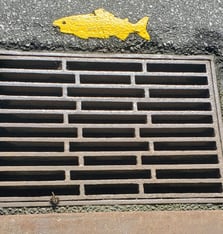 Stormwater Drain - Protect Salmon image 2026-1
