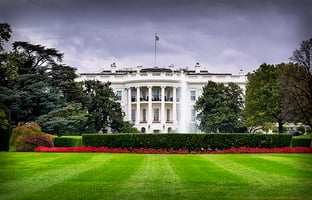 White house 3